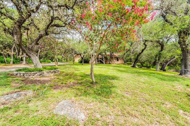 771 Mary Preiss Dr, New Braunfels, TX 78132 - photo 4