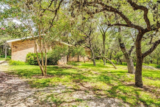 771 Mary Preiss Dr, New Braunfels, TX 78132 - photo 6