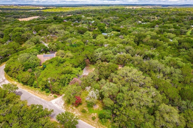 771 Mary Preiss Dr, New Braunfels, TX 78132 - photo 35