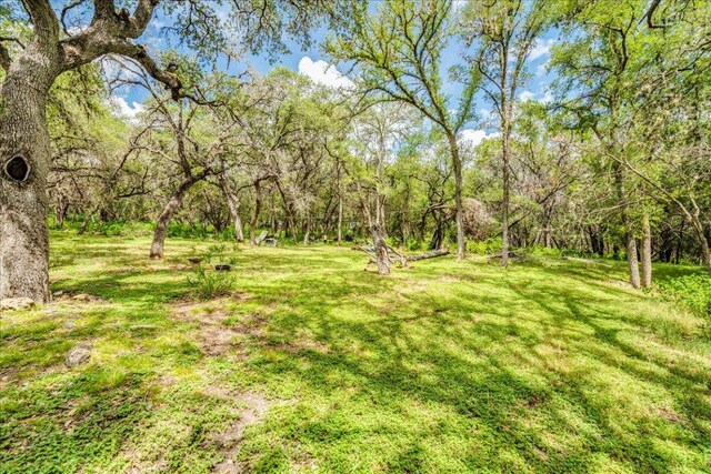 771 Mary Preiss Dr, New Braunfels, TX 78132 - photo 27