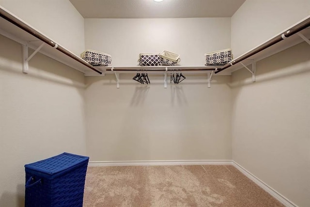 7634 Leonardo Dr, Round Rock, TX 78665 - walk in closet featuring carpet floors