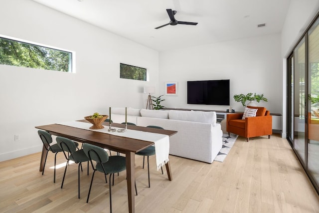 1911 Piedmont Ave, Austin, TX 78757 - dining area with plenty of natural light, light wood-style flooring, and a ceiling fan