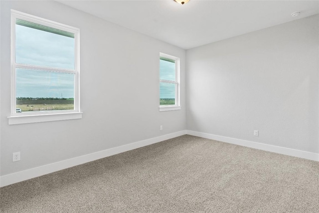 2308 Tobiano Trce, Georgetown, TX 78633 - photo 21