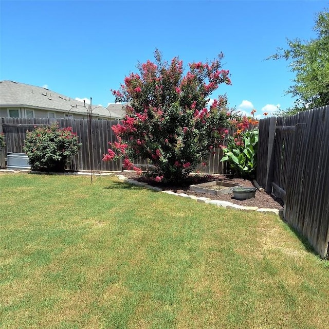 144 Sage Meadows Dr, San Marcos, TX 78666 - photo 5