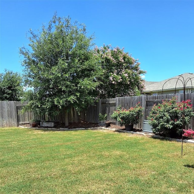 144 Sage Meadows Dr, San Marcos, TX 78666 - photo 6