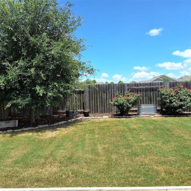 144 Sage Meadows Dr, San Marcos, TX 78666 - photo 7