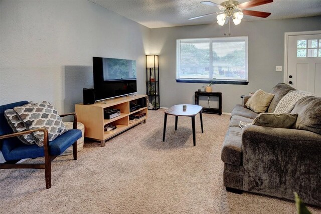 507 Pea Jay Cv, Bastrop, TX 78602 - photo 7