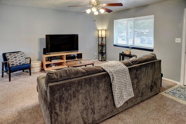 507 Pea Jay Cv, Bastrop, TX 78602 - photo 8