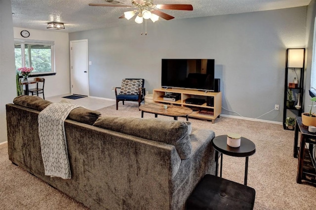 507 Pea Jay Cv, Bastrop, TX 78602 - photo 10