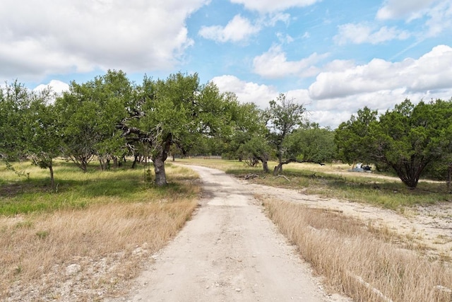501 Twin Oaks Trl, Dripping Springs, TX 78620 - photo 25