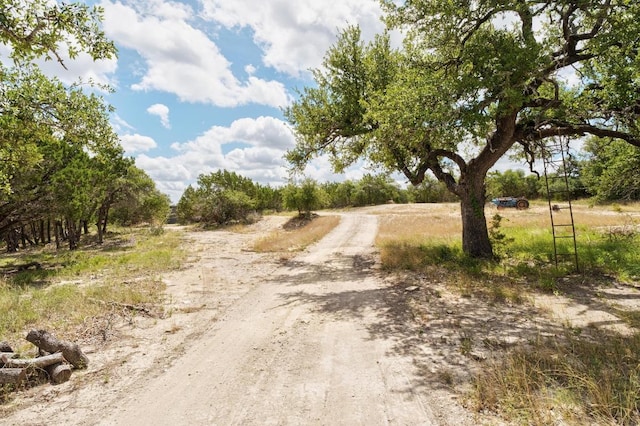 501 Twin Oaks Trl, Dripping Springs, TX 78620 - photo 26