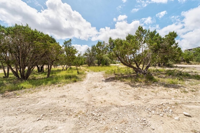 501 Twin Oaks Trl, Dripping Springs, TX 78620 - photo 28