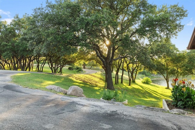 101 Rolling Hills Rd, Blanco, TX 78606 - surrounding community with a lawn and a water view