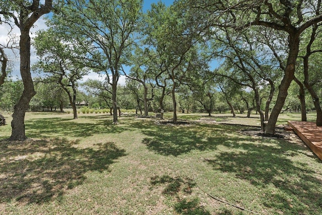 4113 Windflower Ln, Georgetown, TX 78628 - photo 22