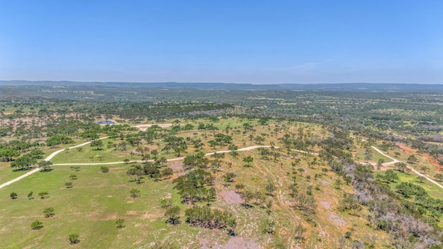3531 Ranch Road 3347 - Tract 7, Round Mountain, TX 78663 - photo 7