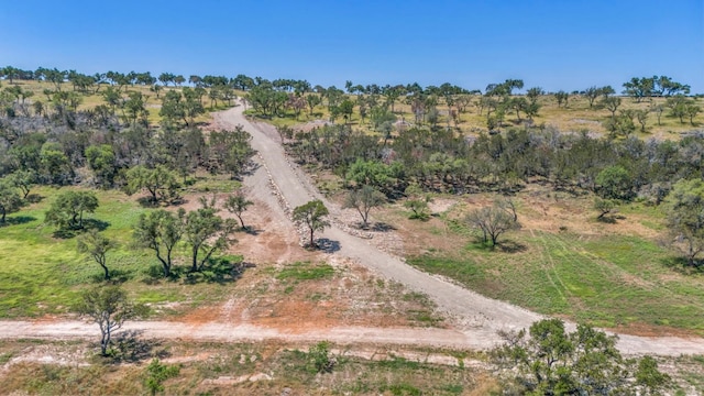 3531 Ranch Road 3347 - Tract 7, Round Mountain, TX 78663 - photo 9