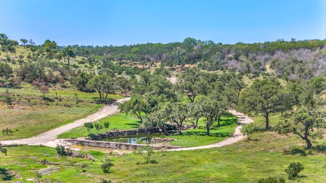 3531 Ranch Road 3347 - Tract 7, Round Mountain, TX 78663 - photo 1