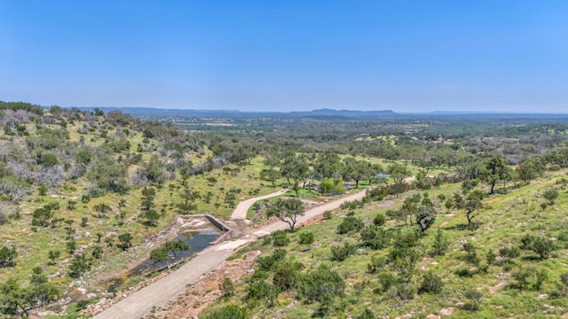 3531 Ranch Road 3347 - Tract 7, Round Mountain, TX 78663 - photo 4