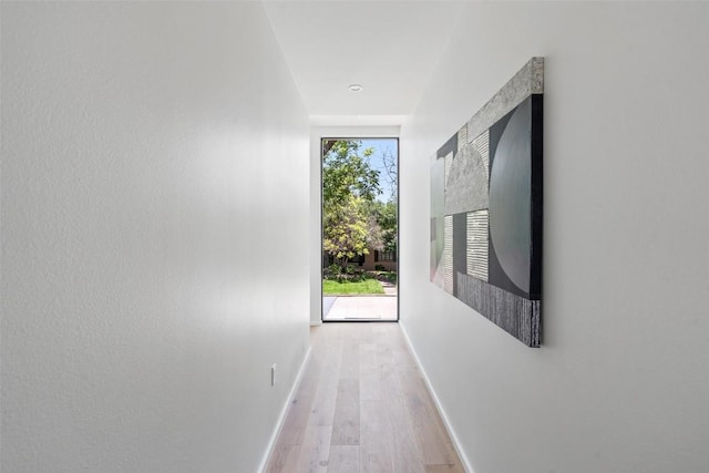 1203 Richcreek Rd, Austin, TX 78757 - photo 19