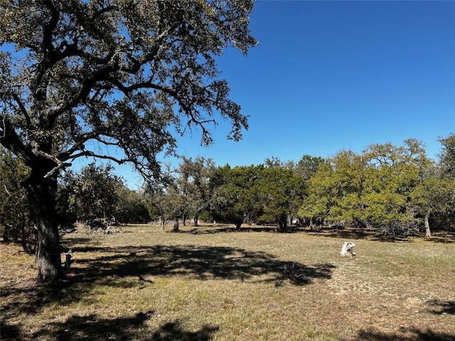 1212 Ridge Oak Dr, Wimberley, TX 78676 - photo 17