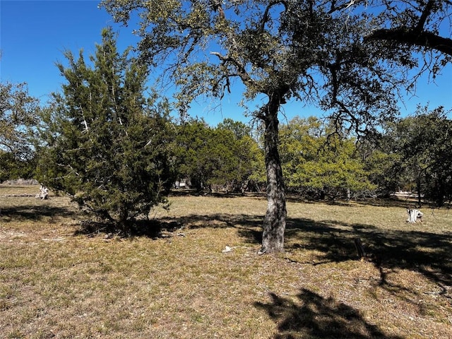 1212 Ridge Oak Dr, Wimberley, TX 78676 - photo 18