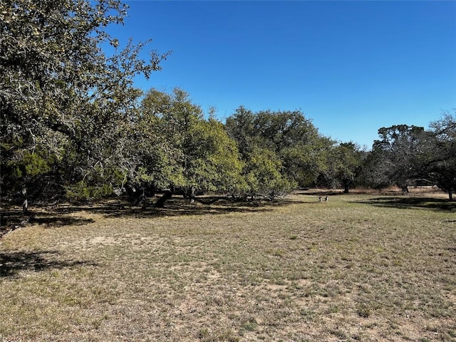 1212 Ridge Oak Dr, Wimberley, TX 78676 - photo 19