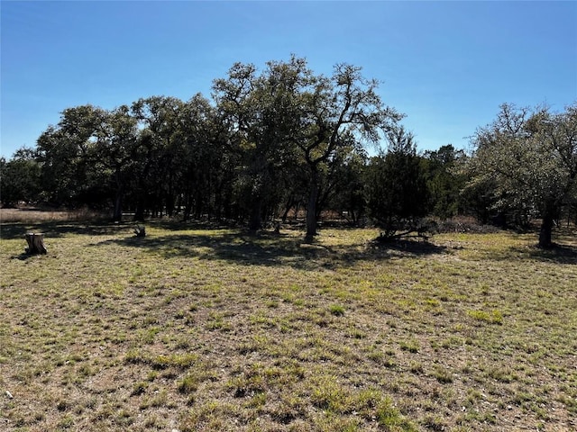 1212 Ridge Oak Dr, Wimberley, TX 78676 - photo 20