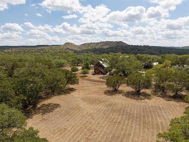 1212 Ridge Oak Dr, Wimberley, TX 78676 - photo 3