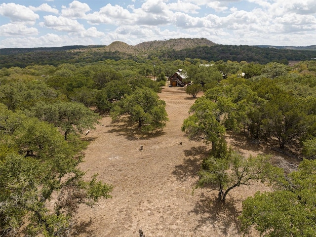 1212 Ridge Oak Dr, Wimberley, TX 78676 - photo 7