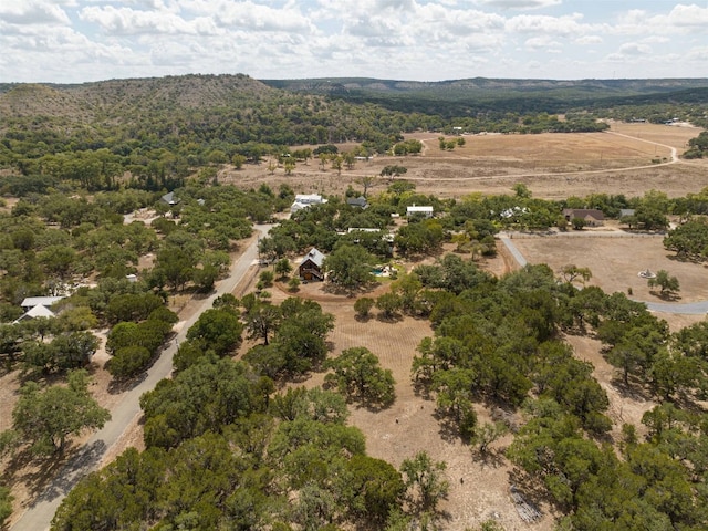 1212 Ridge Oak Dr, Wimberley, TX 78676 - photo 4