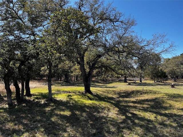1212 Ridge Oak Dr, Wimberley, TX 78676 - photo 15