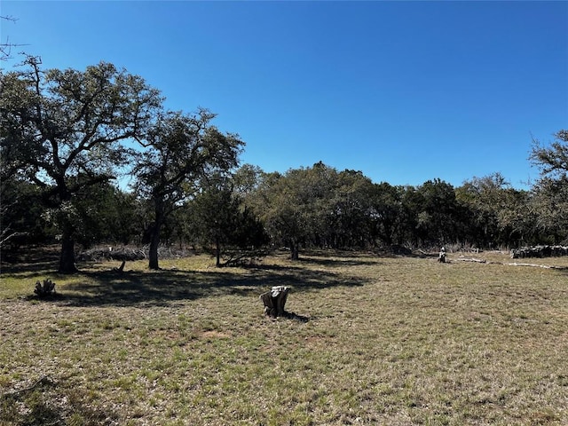 1212 Ridge Oak Dr, Wimberley, TX 78676 - photo 16