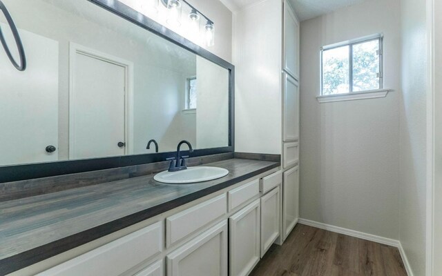 1623 Peachtree Valley Dr, Round Rock, TX 78681 - bathroom with wood finished floors and vanity