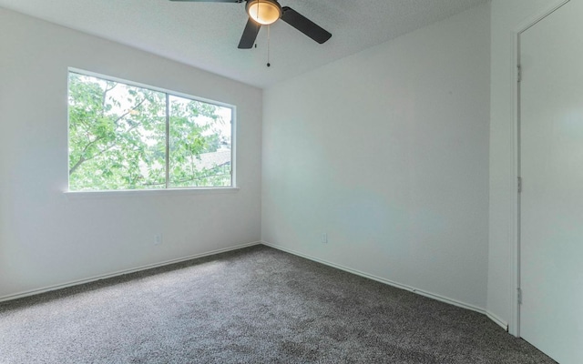 1623 Peachtree Valley Dr, Round Rock, TX 78681 - spare room featuring healthy amount of natural light, carpet, and a ceiling fan