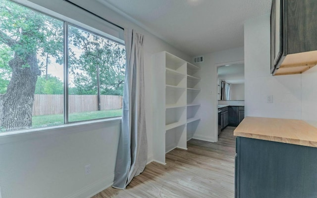 1623 Peachtree Valley Dr, Round Rock, TX 78681 - kitchen featuring light countertops and light wood-type flooring