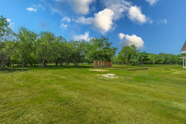 14596 Touchstone Rd Unit 3, Atascosa, TX 78002 - view of green lawn