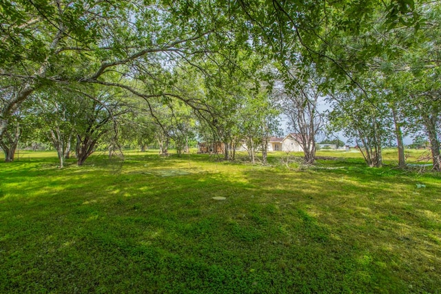 14596 Touchstone Rd Unit 3, Atascosa, TX 78002 - view of green lawn