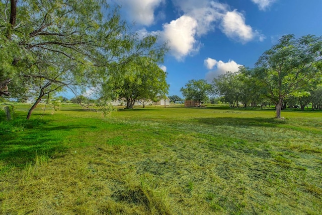14596 Touchstone Rd Unit 3, Atascosa, TX 78002 - view of grassy yard