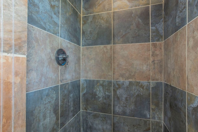14596 Touchstone Rd Unit 3, Atascosa, TX 78002 - bathroom view of tiled shower