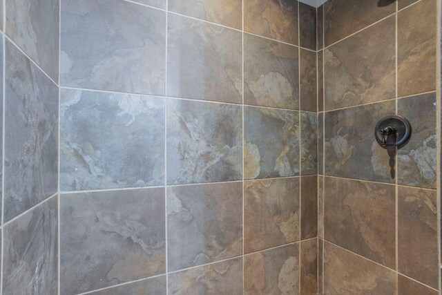 14596 Touchstone Rd Unit 3, Atascosa, TX 78002 - bathroom view of a tile shower