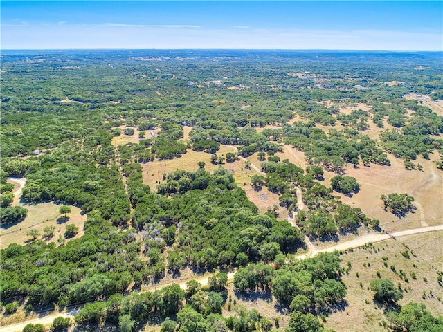 24391 Bingham Creek Rd, Leander, TX 78641 - photo 28