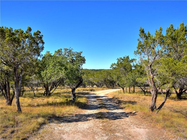 24391 Bingham Creek Rd, Leander, TX 78641 - photo 1
