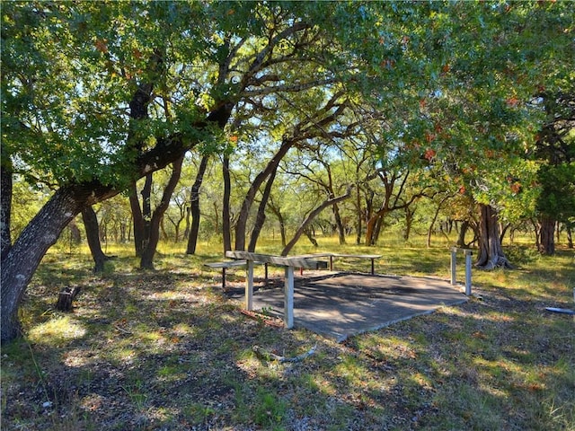 24391 Bingham Creek Rd, Leander, TX 78641 - photo 11