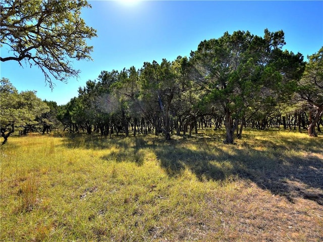 24391 Bingham Creek Rd, Leander, TX 78641 - photo 13