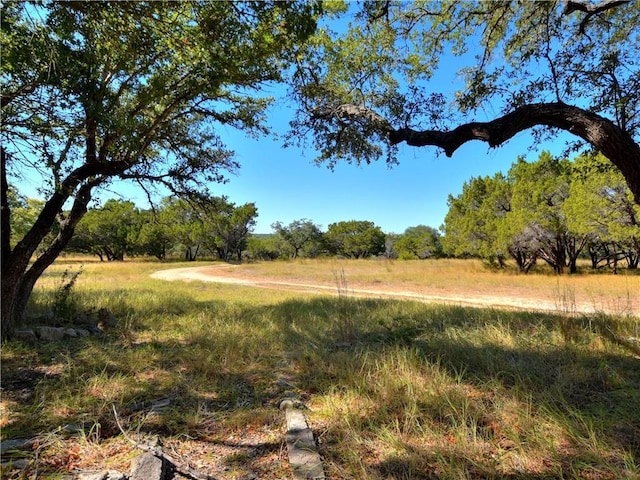 24391 Bingham Creek Rd, Leander, TX 78641 - photo 14