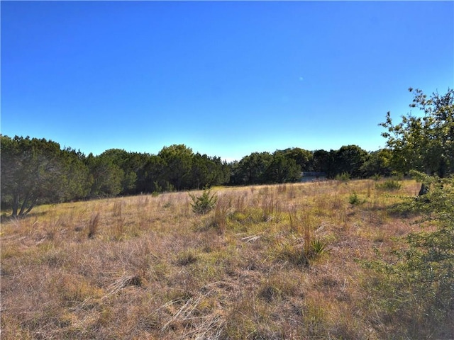 24391 Bingham Creek Rd, Leander, TX 78641 - photo 19