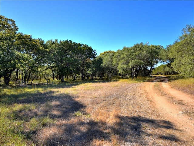 24391 Bingham Creek Rd, Leander, TX 78641 - photo 20