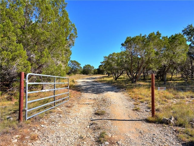 24391 Bingham Creek Rd, Leander, TX 78641 - photo 21