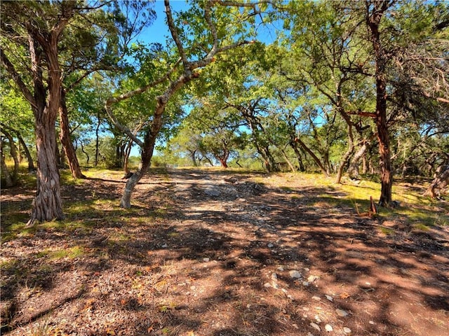 24391 Bingham Creek Rd, Leander, TX 78641 - photo 22
