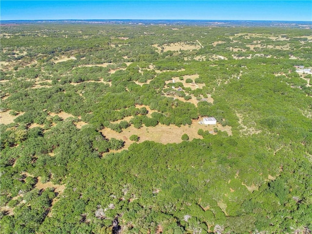 24391 Bingham Creek Rd, Leander, TX 78641 - photo 23